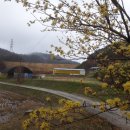 늘푸른농장2 이미지