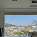 더웨딩샐리웨딩
