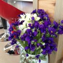 친정집민박 이미지