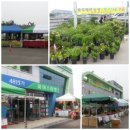 금빛푸드 이미지