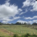 나라한농장 이미지