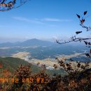 수림소방 이미지
