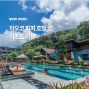 차오코 피피 호텔 앤 리조트 리뷰 피피섬숙소추천 가성비