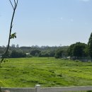 태형목장 이미지