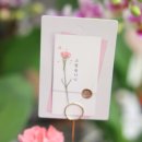 파크 블러썸 이미지