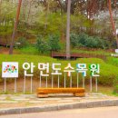 (주)홍일 | 충남 태안 가볼만한 곳 안면도수목원 드론으로 미리보는 여행