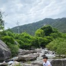 멍멍이와 야옹이 나들이 이미지