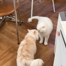 루루호텔 이미지