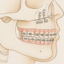 서울더웃는치과의원 이미지