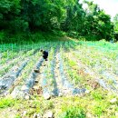 곰배령식당 이미지