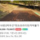 써니힐즈 오토캠핑장 | 파주, 연천 조용한 캠핑장