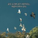 참과일 - 남구 수영로219번길 12-1 | 참과일