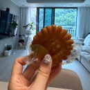 경기광주 답례떡 전문 우리떡 제작소 시루 본점 꿀떡꿀떡 맛있떡~