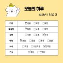 더일상마켓 이미지