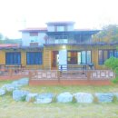 스파펜션엘라고 이미지