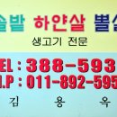 하얀식당