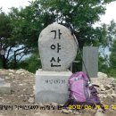 액스온 Daum카페