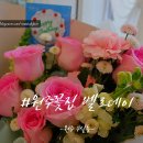 벨로데이 | 당일 예약, 구매 가능한 풍성하고 가성비 있는 꽃다발 '원주꽃집 벨로데이' 아빠 생신 꽃다발 선물 후기