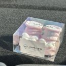 31140-14-20-22 | 임신14주-22주차 일기 (중기 임산부 일상/임신 후 변화 / 주수별 배 크기 비교 / 태동 시작)