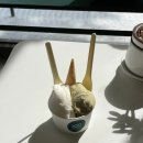 춘천중앙초등학교 | 춘천 명동 젤라또 맛집 JOC젤라또 소개 및 이용후기