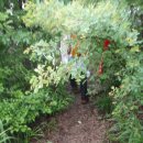 연천읍-7 이미지