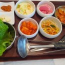 차밥나무 이미지