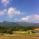 최*춘 - 가평군 백둔로 | 최*춘