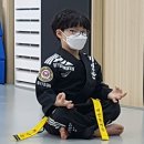 비연체육관 이미지