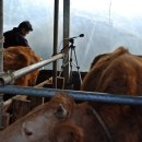 김재형농장 이미지