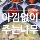 푸짐 | 평택 백숙 맛집 찾는다면 여기! 아낌없이 주는 나무 푸짐한 보양식 후기