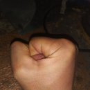 어흥어흥 이미지