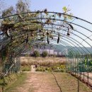 삼락강변공원 이미지