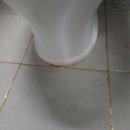 오천1길 이미지