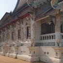 muang muang 이미지