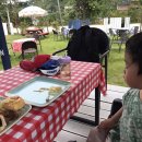 그대닮다 이미지