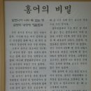 흑산도홍어전문 이미지