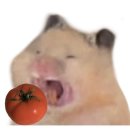 냠냠 이미지