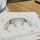 바로본신경외과의원 이미지