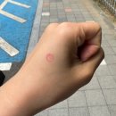 광주 6월 행사, 스트릿댄스 대회 라인업 후기를 가장한 광주 여행 기록