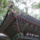 피서지다방 이미지