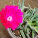 신월농장 이미지