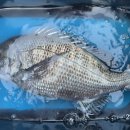 남해-318 이미지