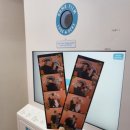 하마필름 - 경주시 포석로 1059 | [브리즈번 신혼여행] 브리즈번에서 인생네컷 찍은 후기 : 하마필름 방문 후기