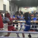 골든보이 복싱짐 이미지