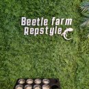 대구곤충마트 이미지