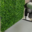 왈왈애견 이미지