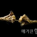 현주농장 2 이미지