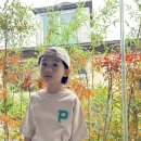 지오다노주니어 코튼폴리 반팔반바지셋업으로 등교룩코디