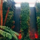 오아시스가든 이미지