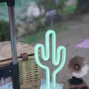 온 피크닉
